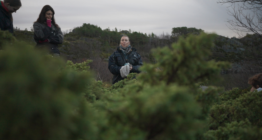 Circular Ways samarbeider med Lofoten de Grønne Øyene